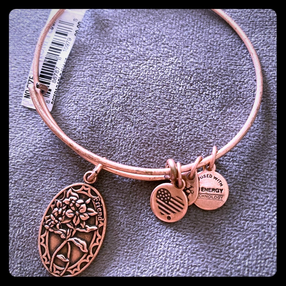 ALEX AND ANI “FRIENDS” bracelet
